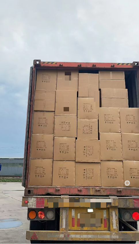 Successful Container Loading for India – Smooth & On Time!